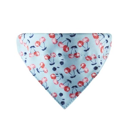 Removable multi-color printed pet bib