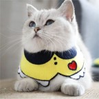 Cute classic style pet bib