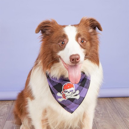 Purple Plaid Halloween Pet Bibs