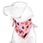 Multi-color printed pet bib
