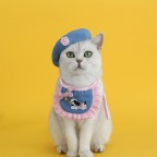 Cute denim fashion pet bibs