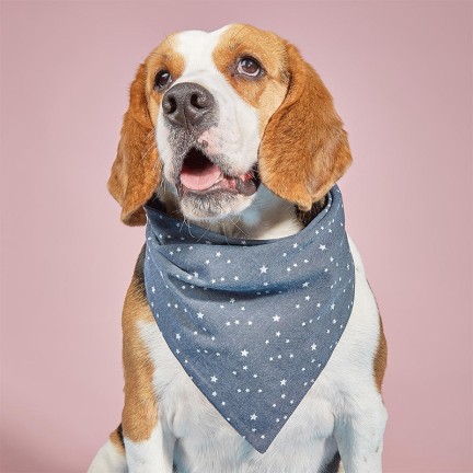 Blue casual cotton pet triangle bib