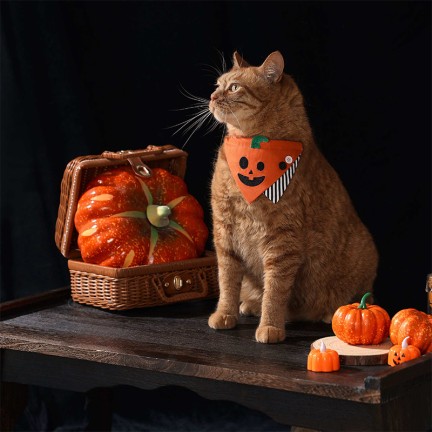Halloween themed pet triangular bibs