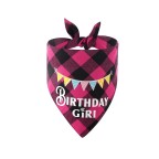 Plaid Birthday Pet Triangle Bibs