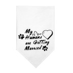 Double-layer Western-style wedding pet triangle bibs