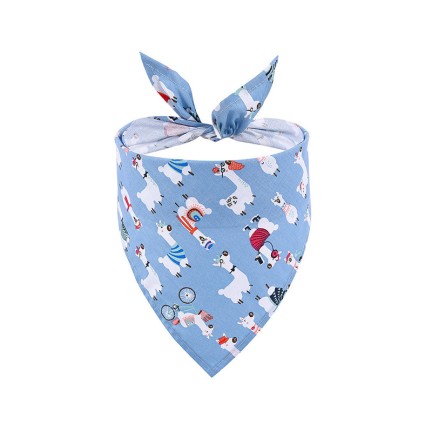 Summer Fruit Theme Triangular Bibs