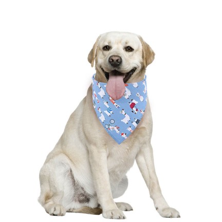 Summer Fruit Theme Triangular Bibs
