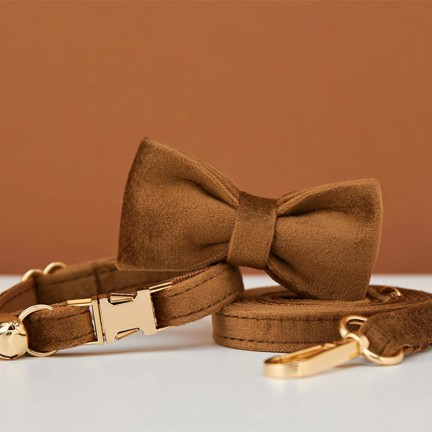Brown Personalized Puppy Bow Tie Collar
