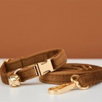 Brown Personalized Puppy Bow Tie Collar