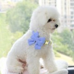 Breakaway Metal Buckle Pet Collar