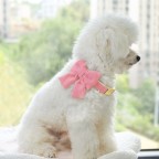 Breakaway Metal Buckle Pet Collar