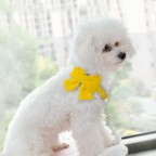 Breakaway Metal Buckle Pet Collar