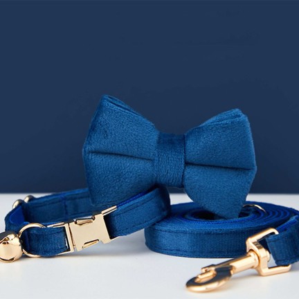 Blue detachable personalized pet collar