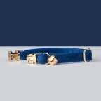 Blue detachable personalized pet collar
