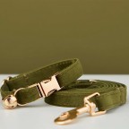 Army Green Personalized Pet Collar
