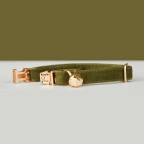 Army Green Personalized Pet Collar