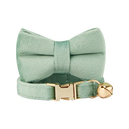 Light Green Personalized Pet Collar
