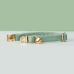 Light Green Personalized Pet Collar