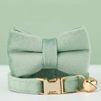 Light Green Personalized Pet Collar