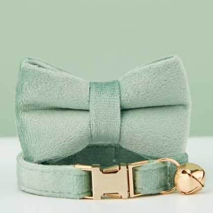 Light Green Personalized Pet Collar