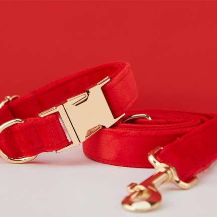 Red Fashion Personalized Dog Collar Bow Tie