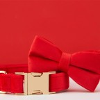 Red Fashion Personalized Dog Collar Bow Tie