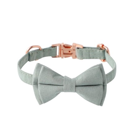 New Rose Gold Buckle British Pet Collar