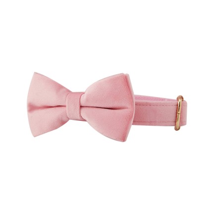 Pink Personalized Pet Dog Collar with Floral Bow Tie