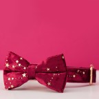 Starry Red Personalized Dog Collar