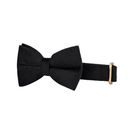 Flower and bow tie double collar bow tie