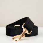 Flower and bow tie double collar bow tie