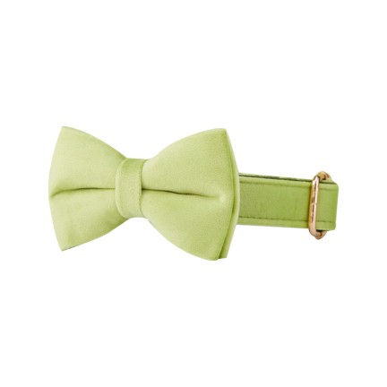 Fun print and comfortable collar tie