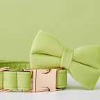 Fun print and comfortable collar tie