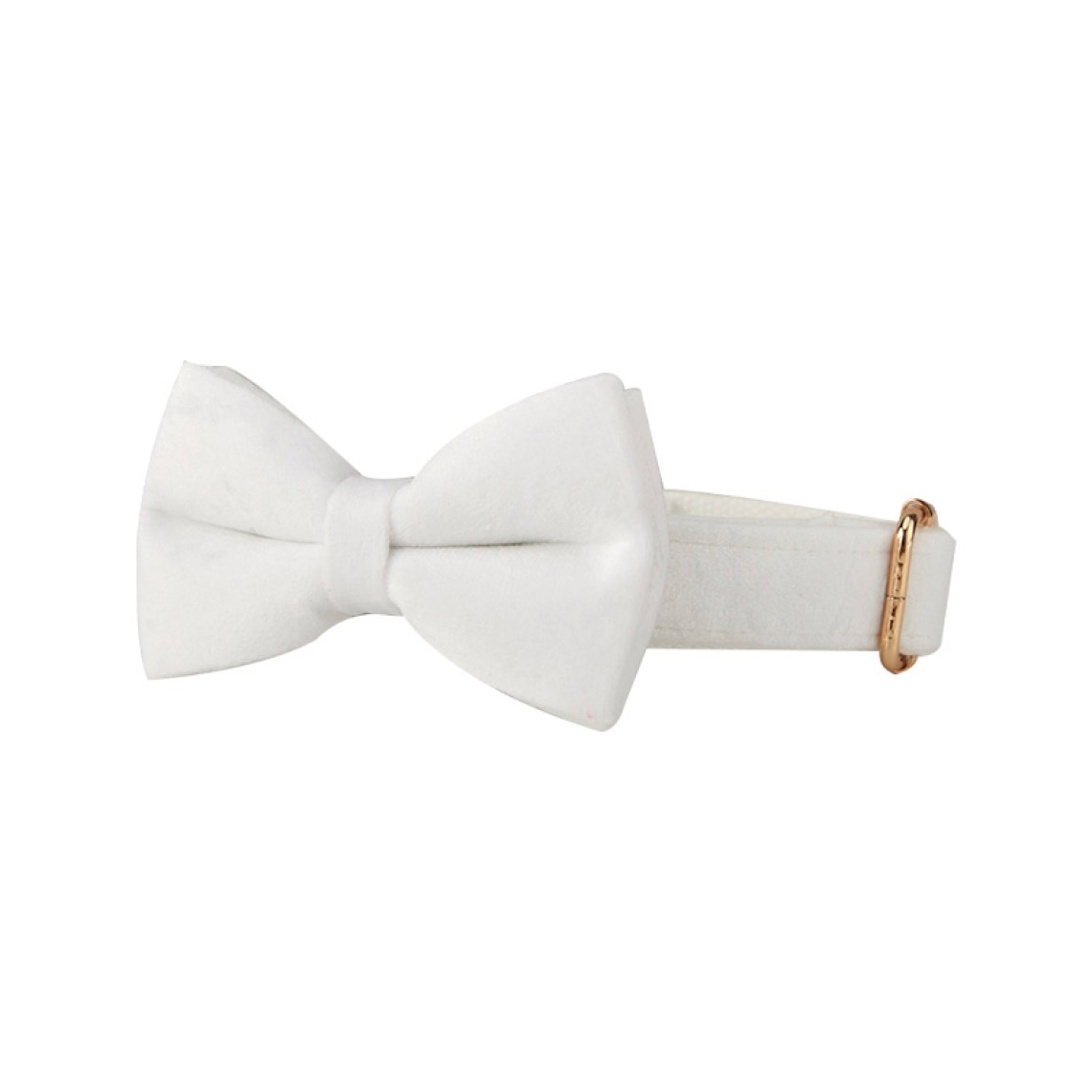 White Elegant Personalized Dog Collar Bow Tie