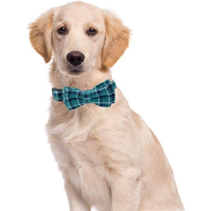 Classic Plaid Adjustable Dog Collar