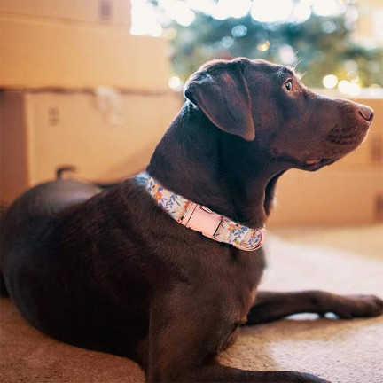 Soft and Durable Floral Bow Dog Collar
