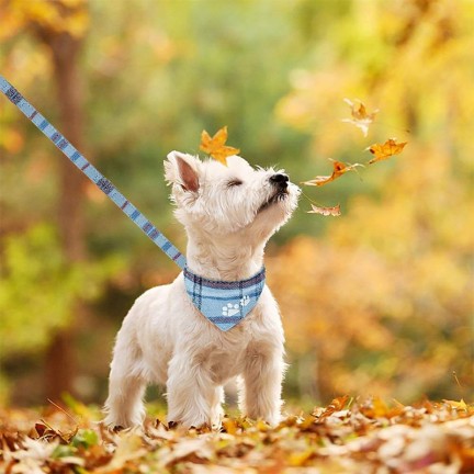 Blue Embroidered Wooden Stitch Plaid Dog Collar