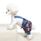 Fashionable and luxurious dog and cat clothing