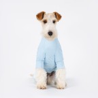 Breathable Cooling Pet Body Shirt