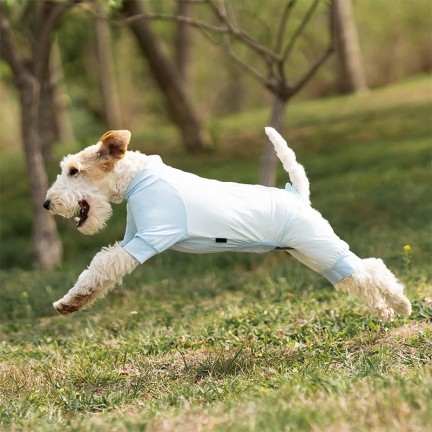 Breathable Cooling Pet Body Shirt