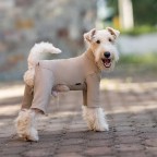 Deluxe Waterproof Warm Pet Bodysuit