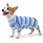 Summer breathable and comfortable dog jumpsuit