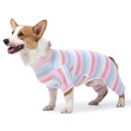 Summer breathable and comfortable dog jumpsuit