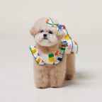 Puppy Bichon Poodle Summer Party Dress Jumpsuit