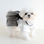 Retro Chanel style pet dress