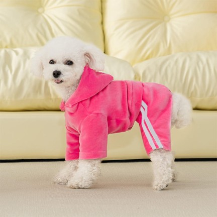 Luxe Pink Velvet Dog Coat