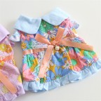 French Vintage Flower Pet Dress