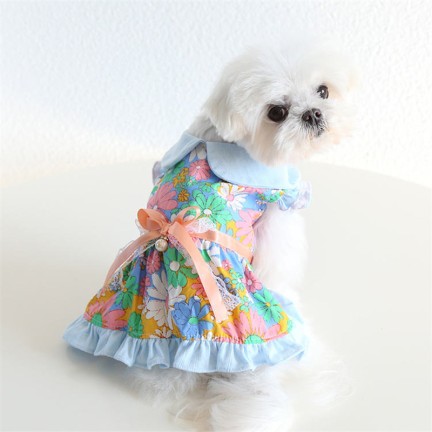 French Vintage Flower Pet Dress