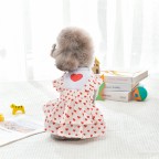 Spring Cute Princess Style Pet Dress