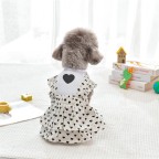 Spring Cute Princess Style Pet Dress